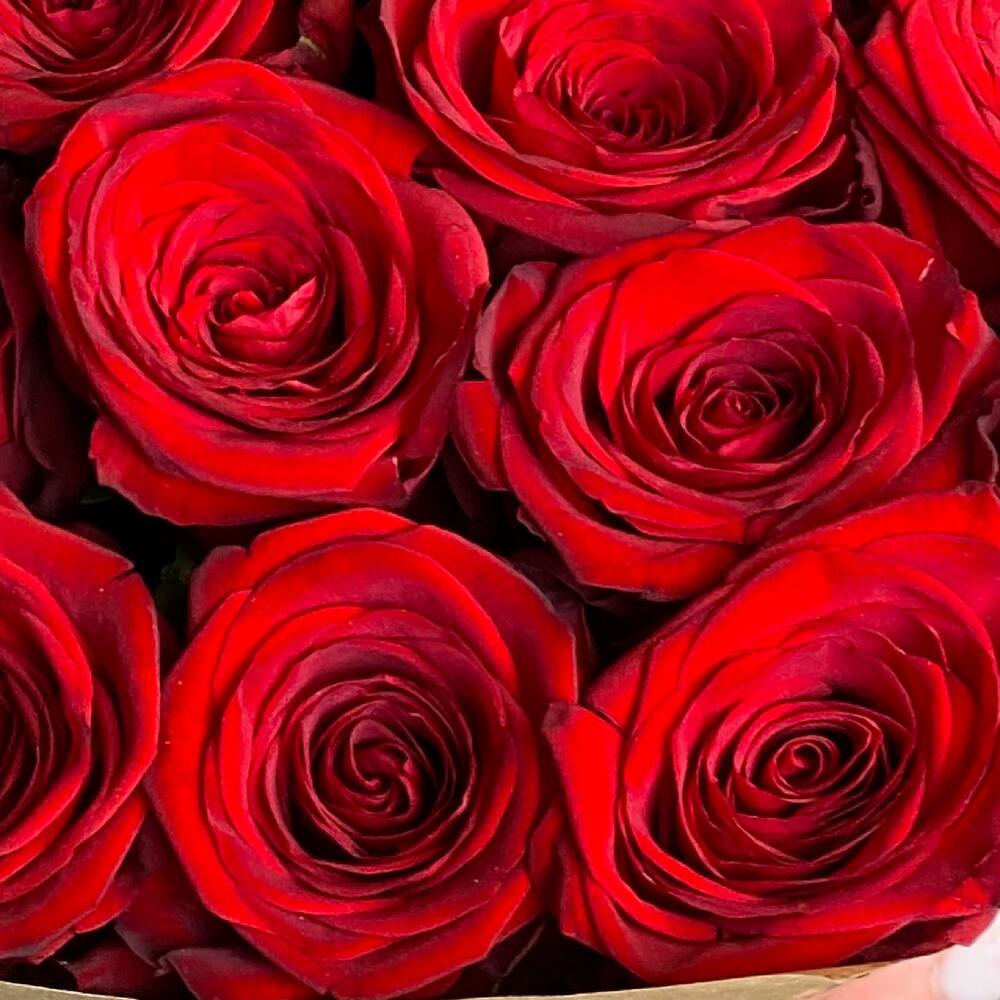 Закат в Венеции — вид 3