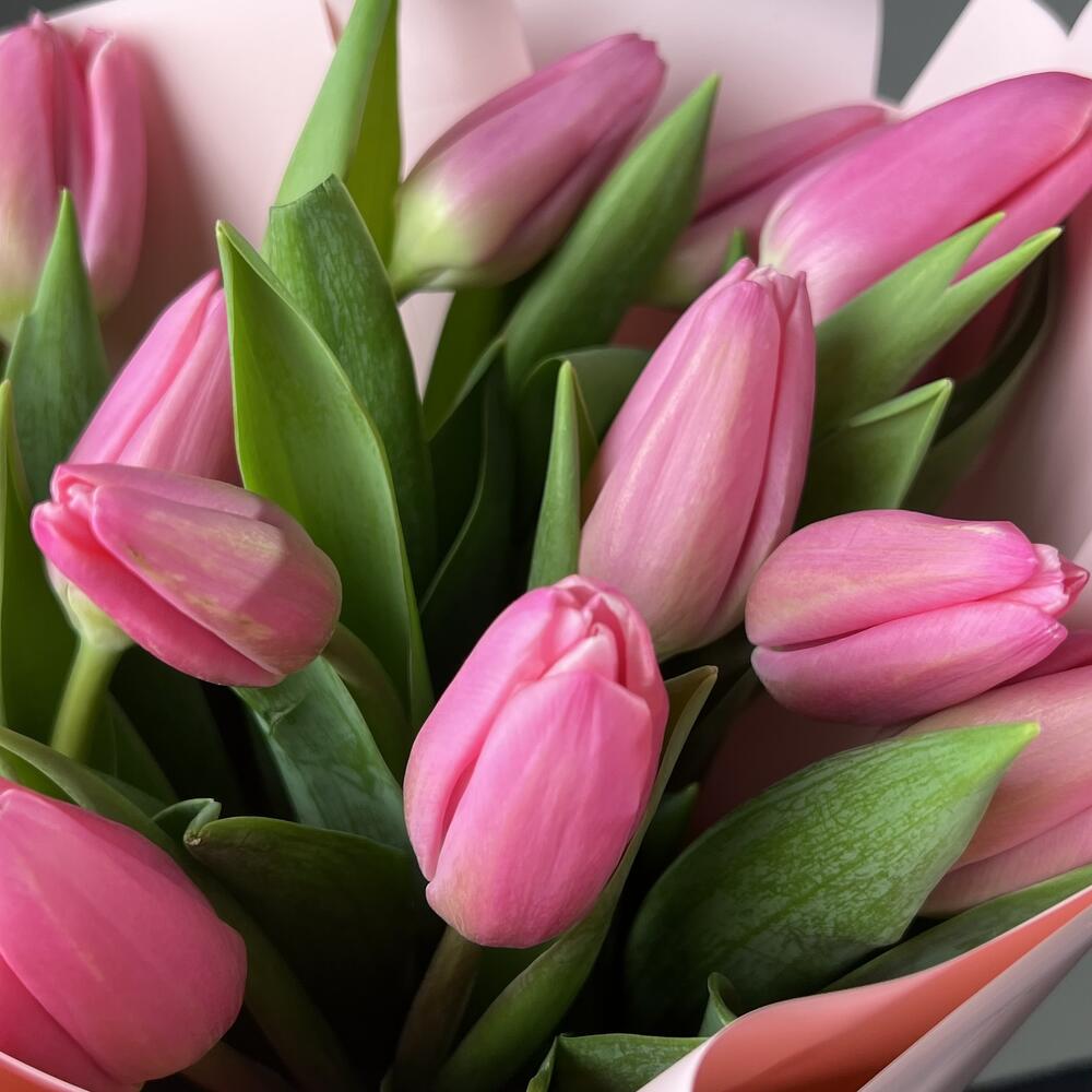 Розовые тюльпаны — вид 4