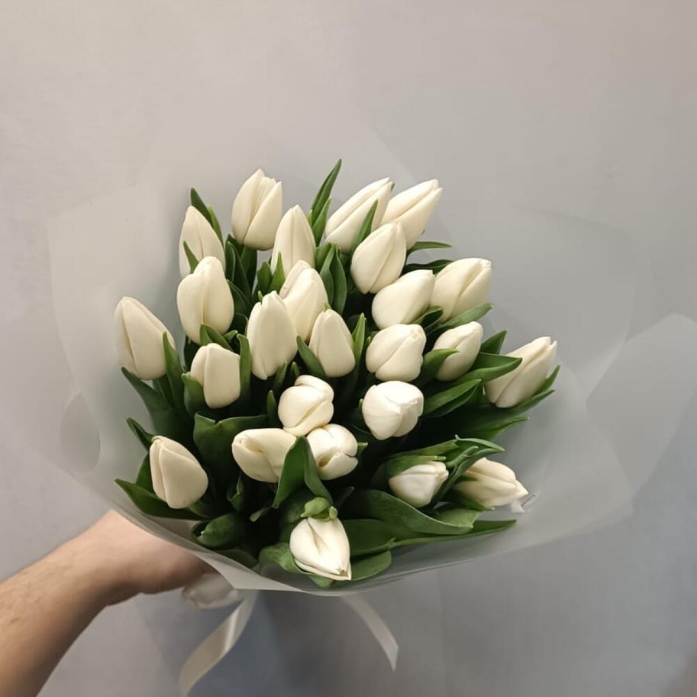 Белые тюльпаны — вид 2