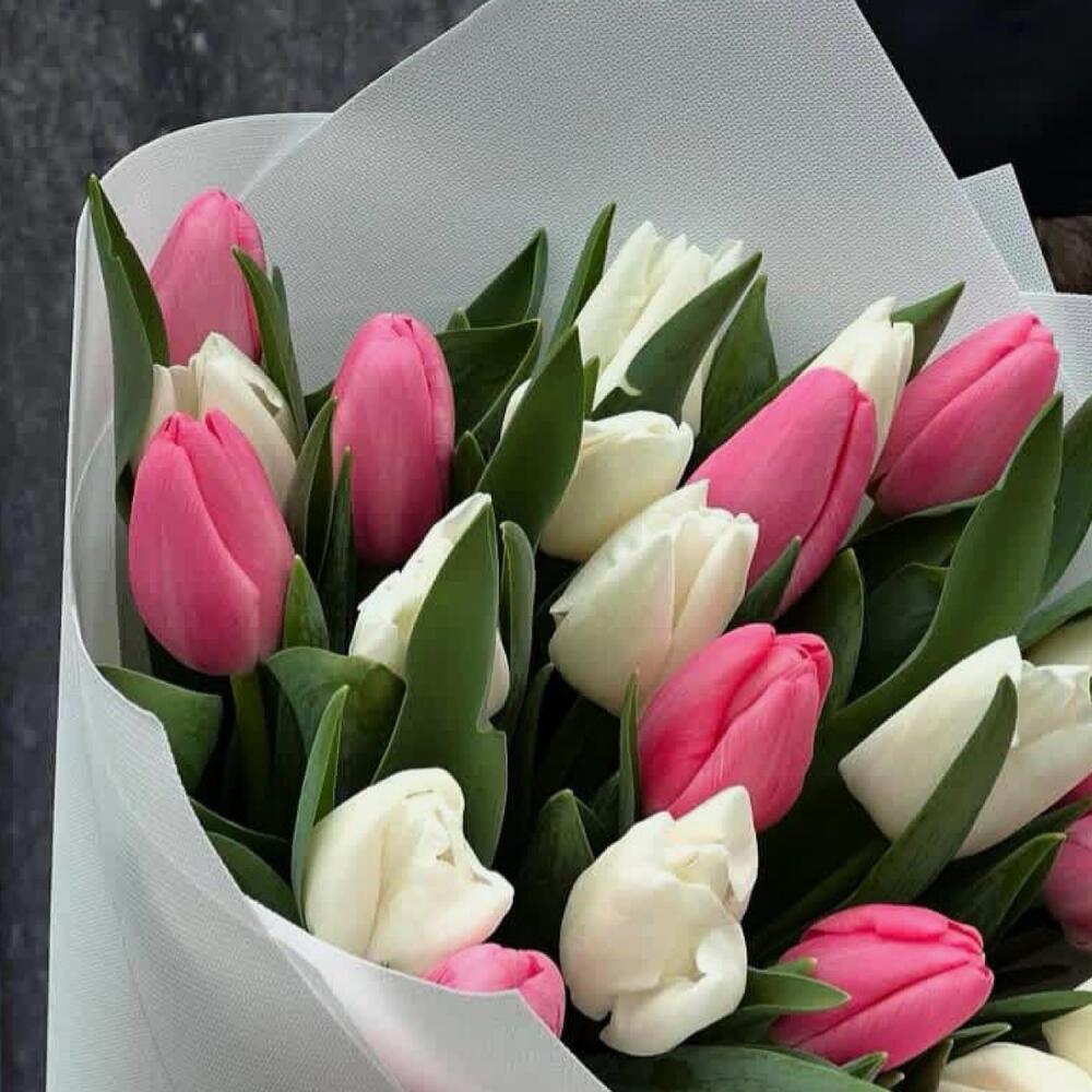 Розово-белые тюльпаны — вид 2