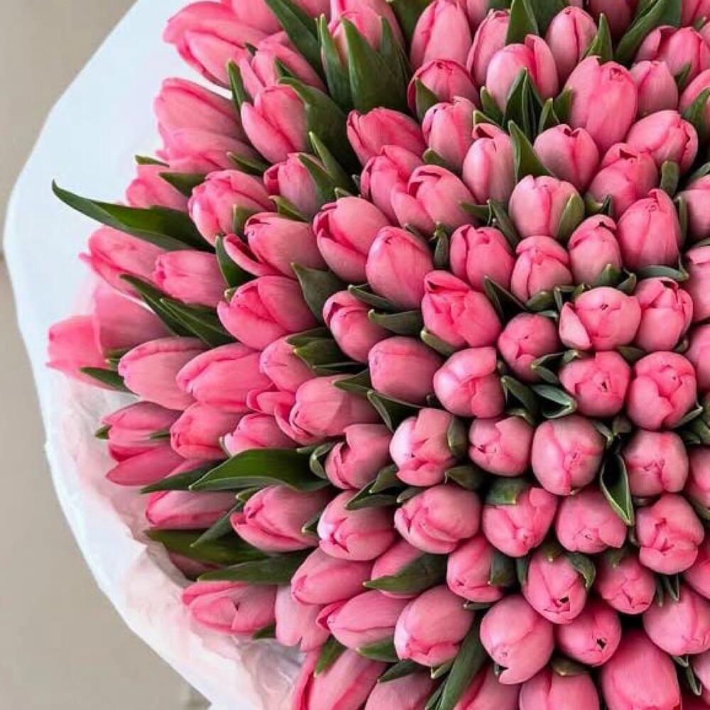 розовые тюльпаны — вид 3