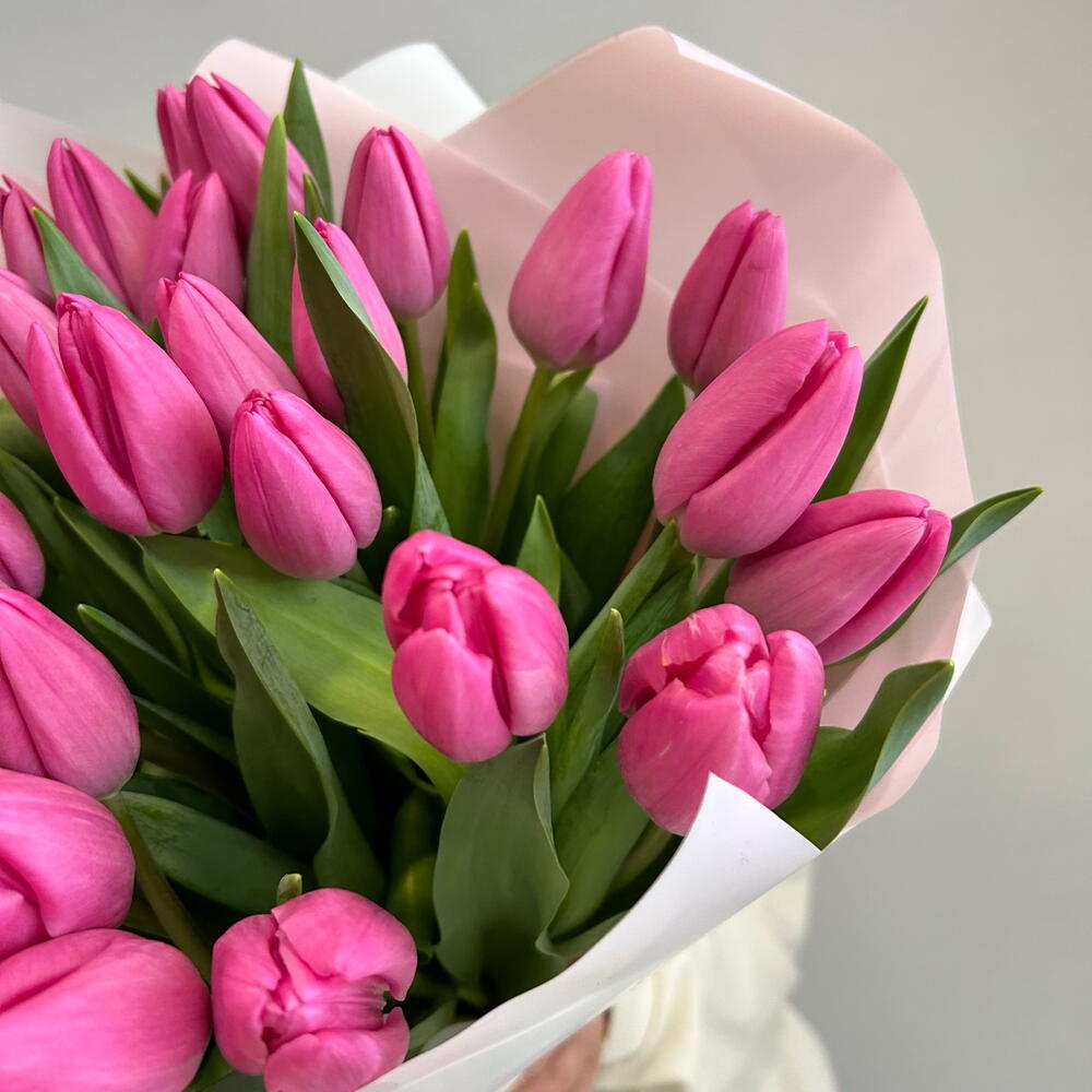 Розовые тюльпаны — вид 3