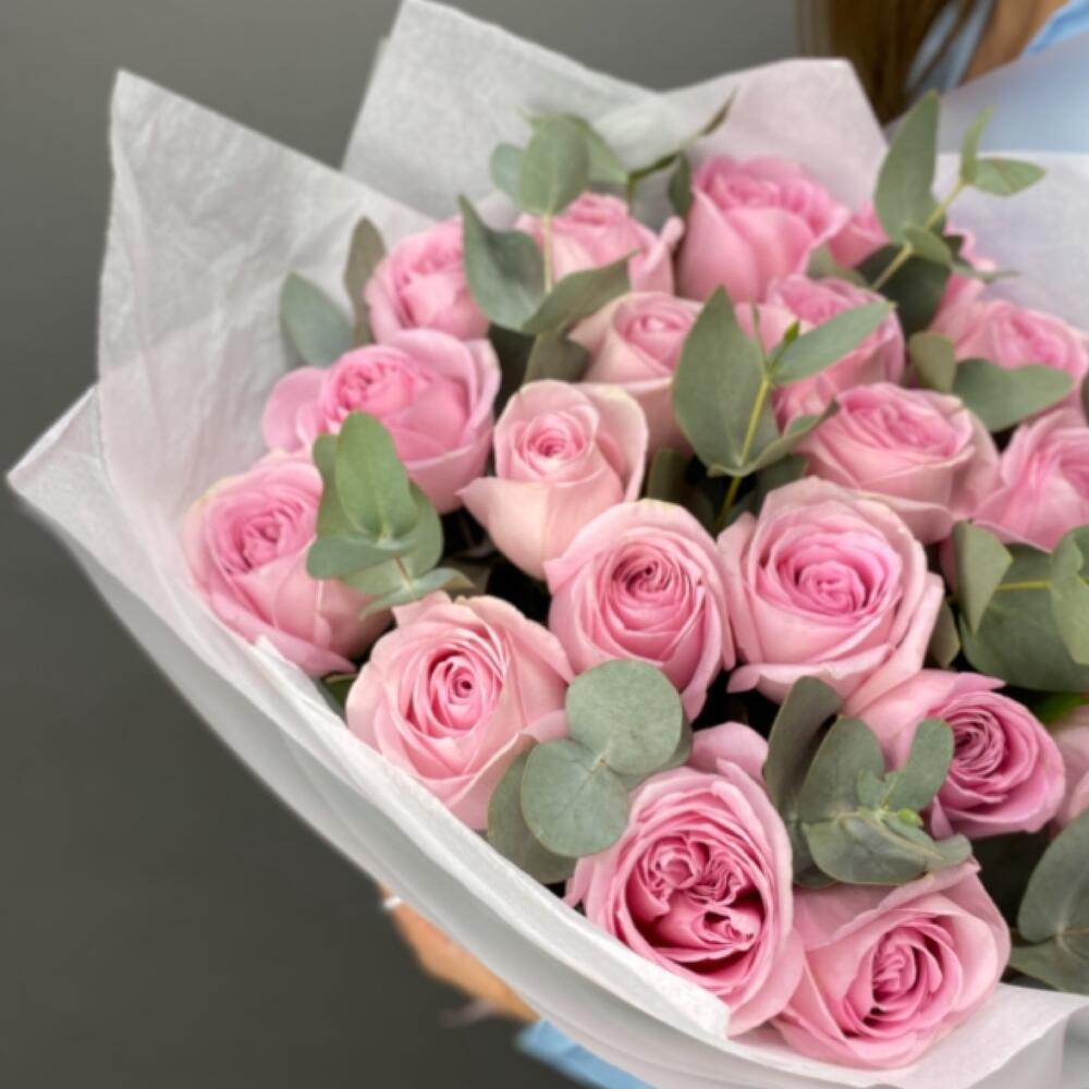 Фарсис — вид 3