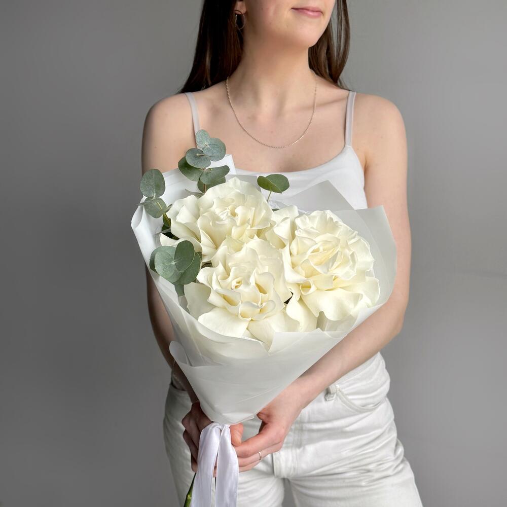 Бонжур — вид 3