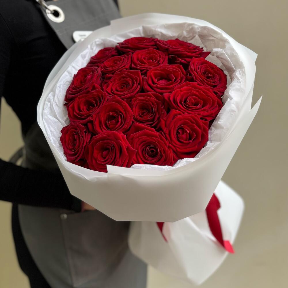 Рафаэлло — вид 2