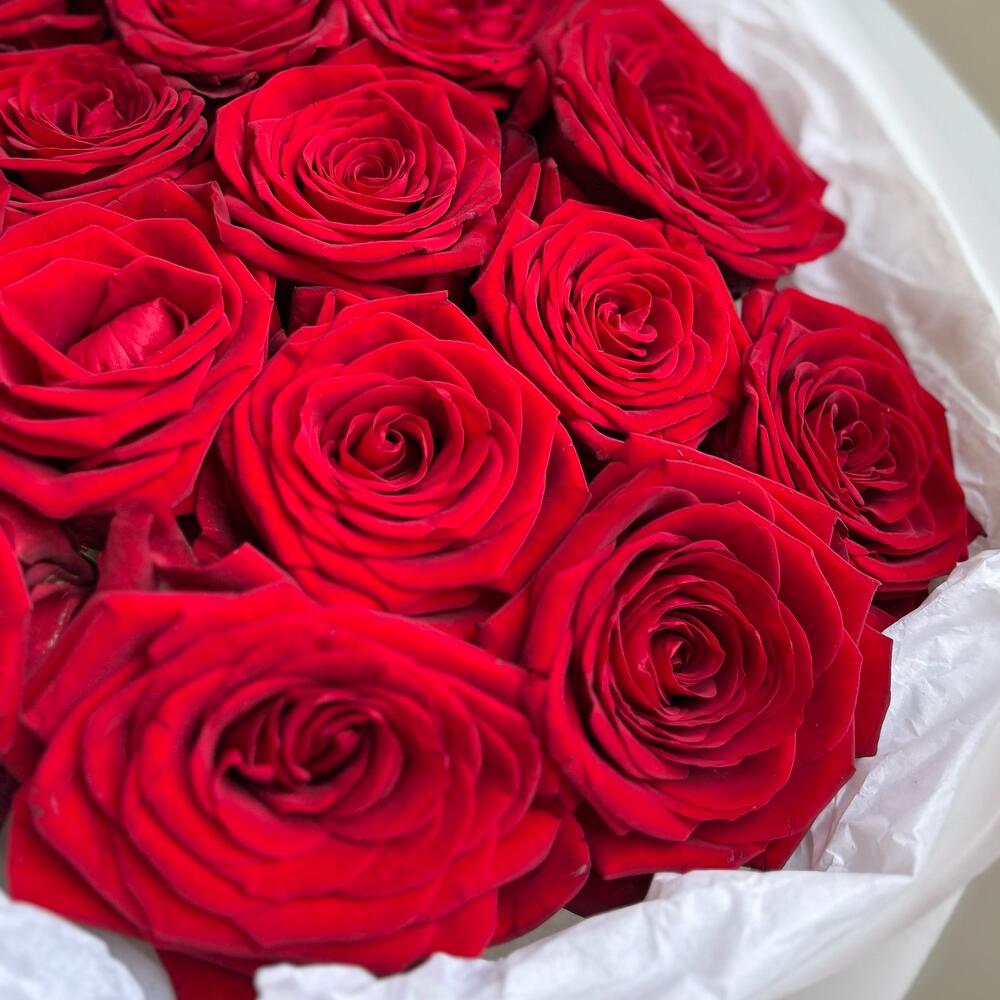 Рафаэлло — вид 4